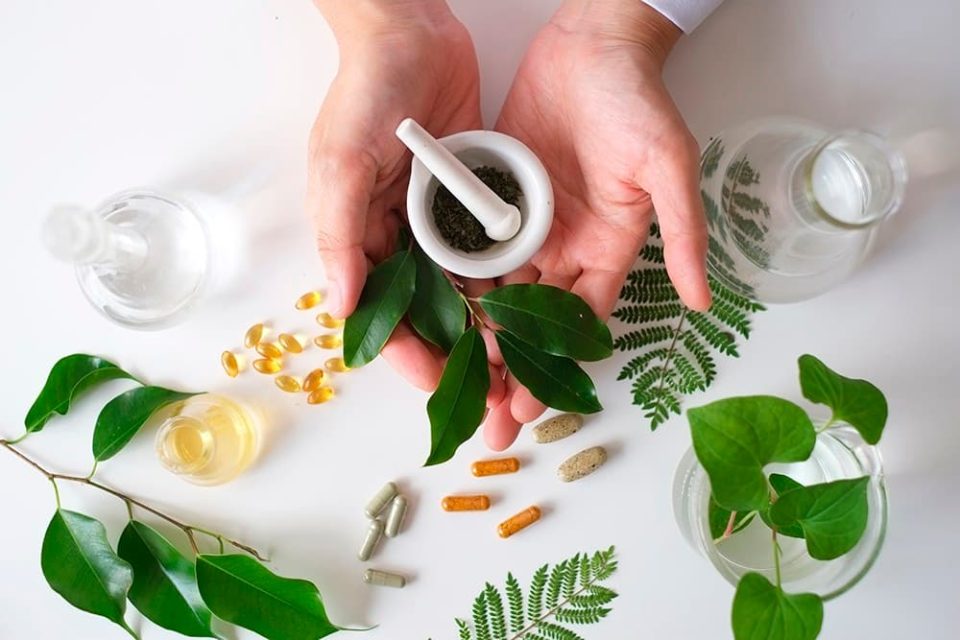 fitoterapia